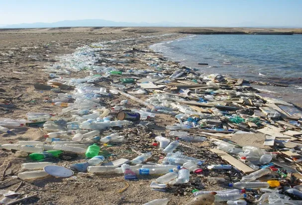 Polluted Beach on the Res Sea in Sharm el Nage, Egypt, Vberger,.jpg