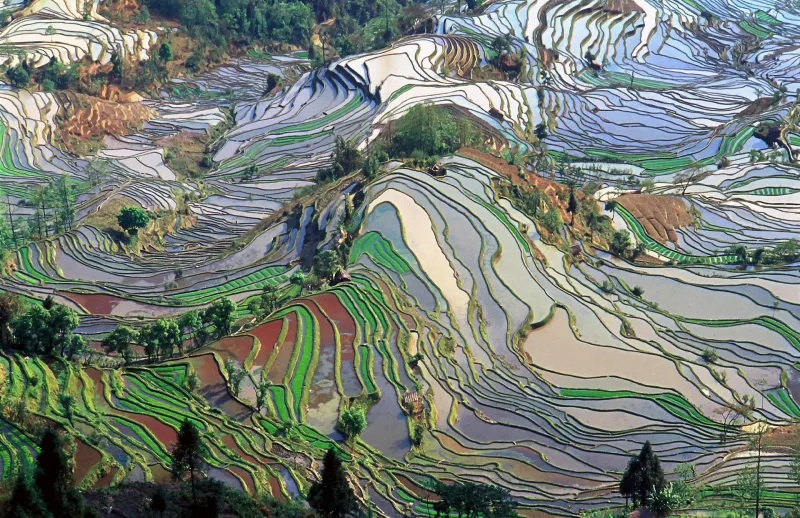 Terassenfelder, hier wird Reis angebaut, Jialiang GAo, www.peace-on-earth.org , CC BY-SA 3.0