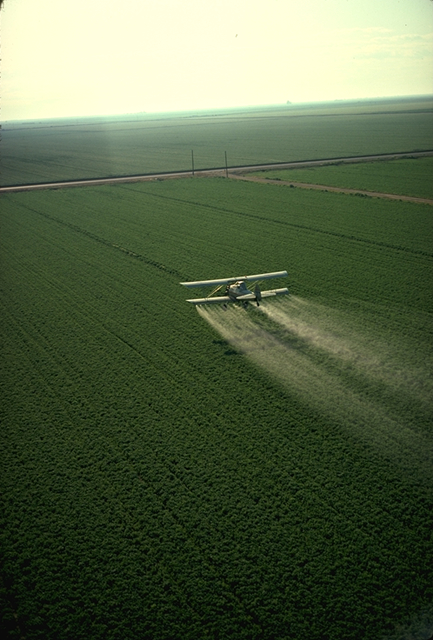 Cropduster_spraying_pesticides, in der EU verboten, Wikimedia, Gemeinfrei.jpg