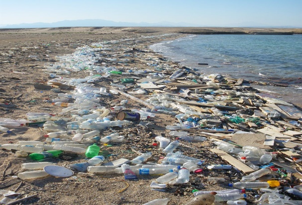 Polluted Beach on the Res Sea in Sharm el Nage, Egypt, Vberger,.jpg